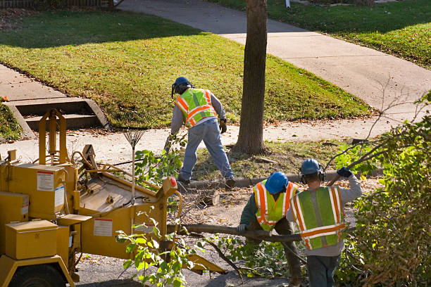 Best Lawn Grading and Leveling  in Kincaid, IL